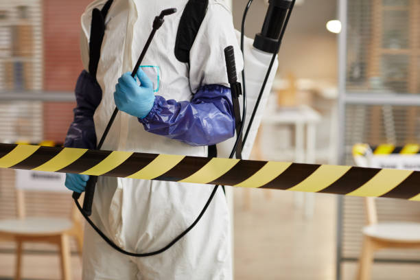 Professional Hoarding Cleanup technician working in Levan, UT